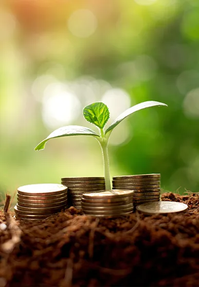 plant growing out of coins reasonable rate of return in successful retirement